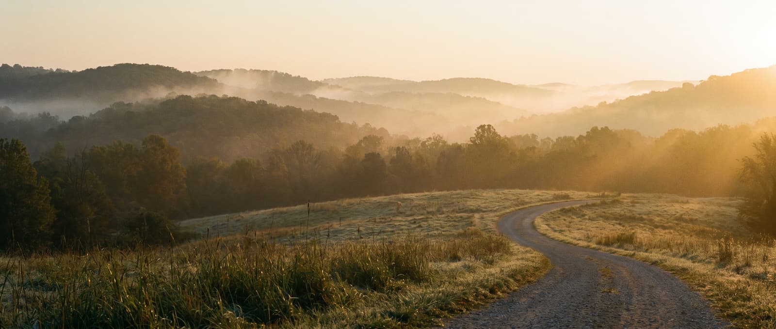 Rolling Ozark ridgelines at golden hour southwest of Springfield
