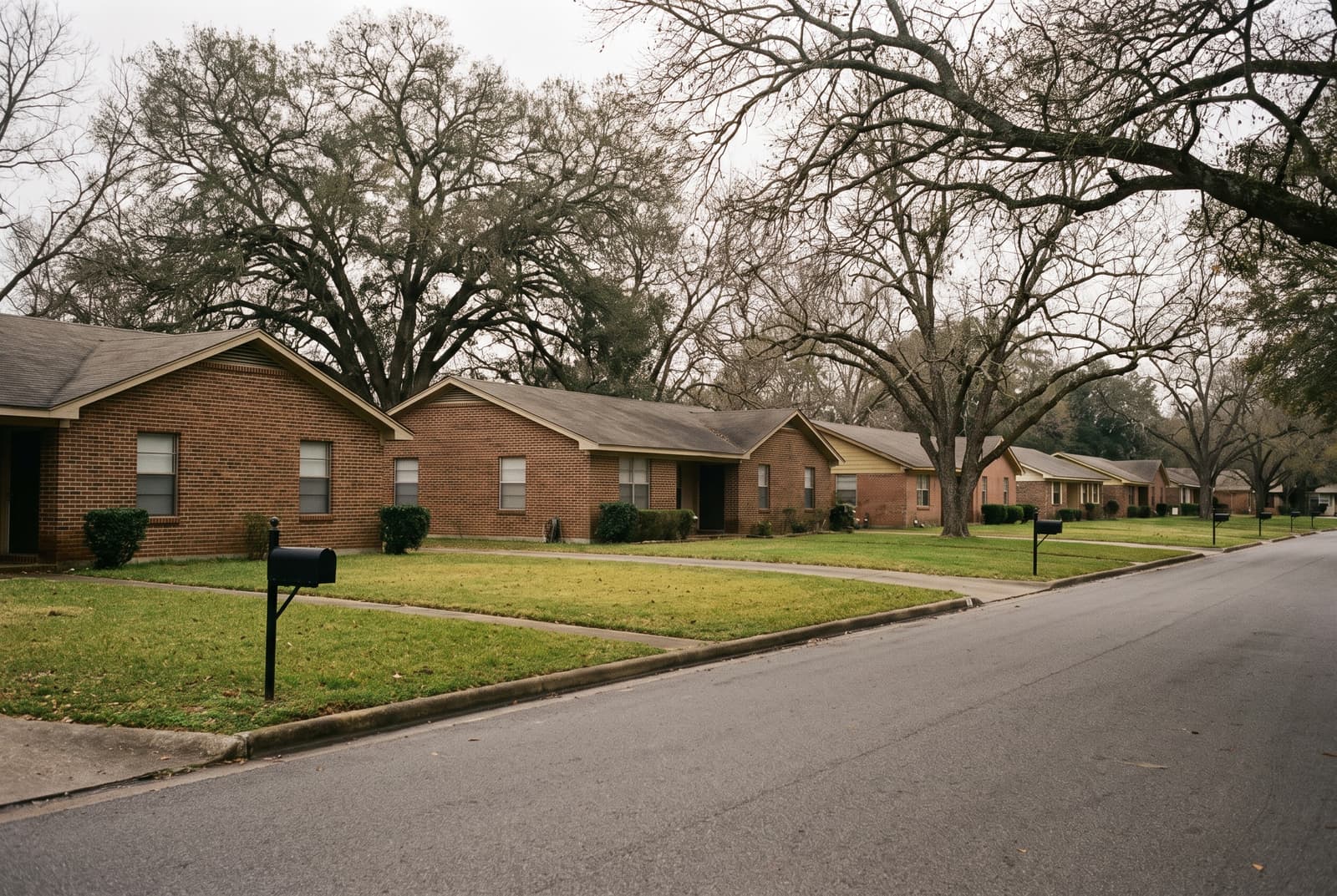 Street of well-kept craftsman rental homes